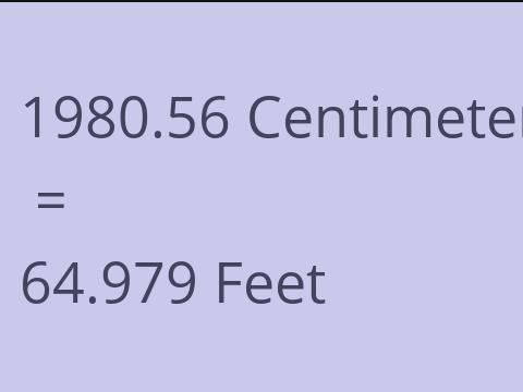 1980.56 CM TO FEET