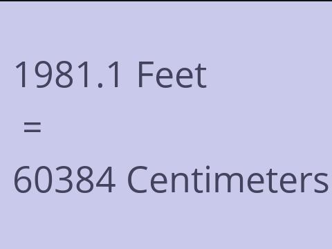 1981.1 FEET TO CM