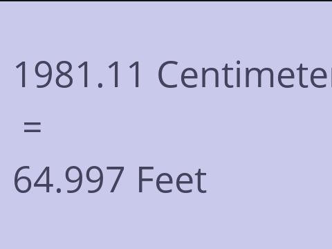 1981.11 CM TO FEET