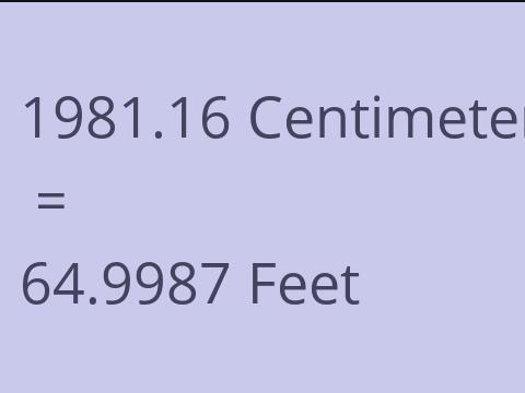 1981.16 CM TO FEET