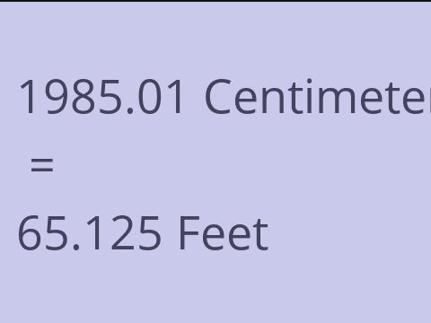 1985.01 CM TO FEET