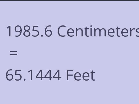 1985.6 CM TO FEET