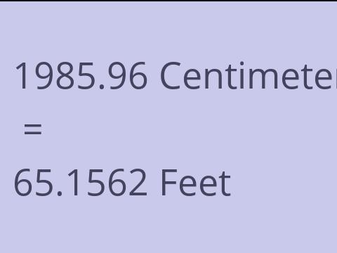 1985.96 CM TO FEET