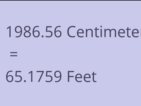 1986.56 CM TO FEET