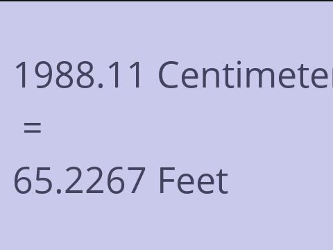 1988.11 CM TO FEET