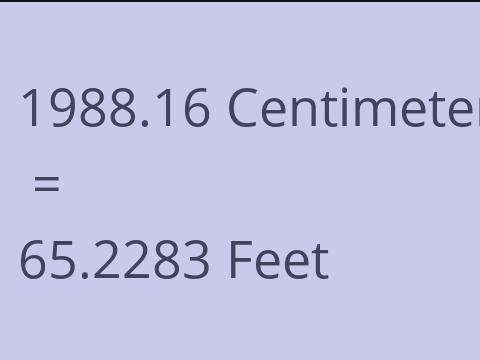 1988.16 CM TO FEET