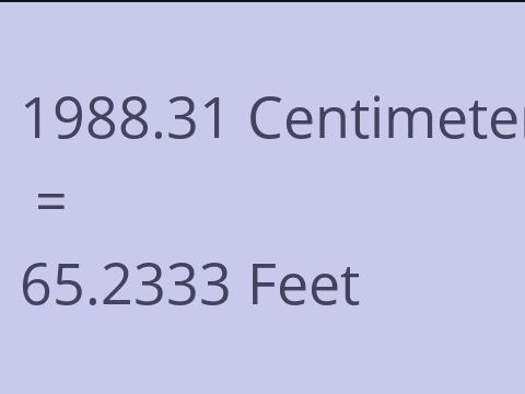 1988.31 CM TO FEET