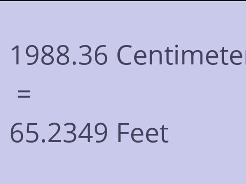 1988.36 CM TO FEET