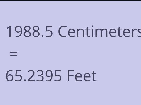 1988.5 CM TO FEET