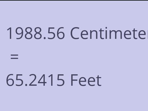 1988.56 CM TO FEET