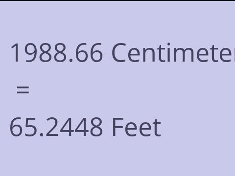 1988.66 CM TO FEET