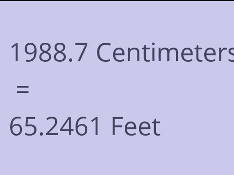 1988.7 CM TO FEET