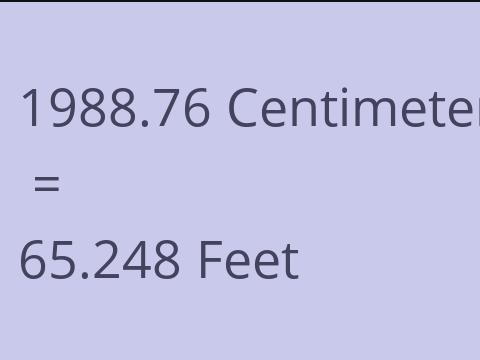 1988.76 CM TO FEET