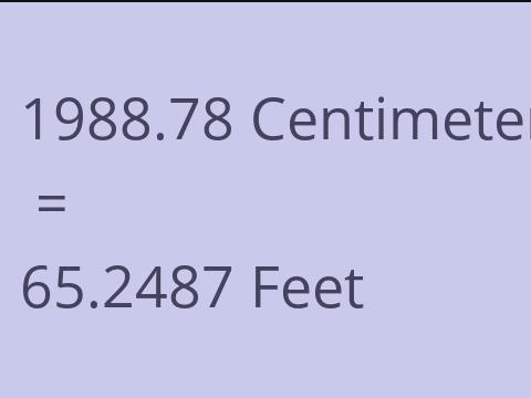 1988.78 CM TO FEET