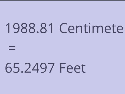 1988.81 CM TO FEET