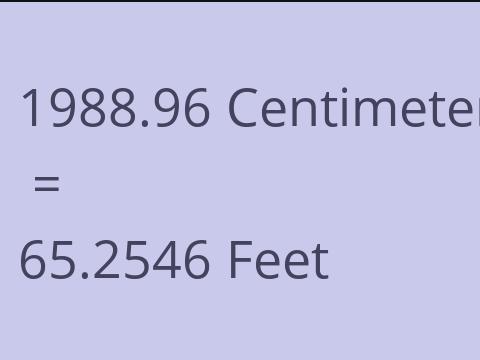1988.96 CM TO FEET