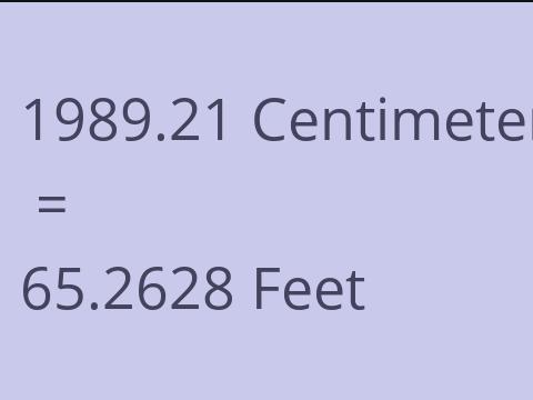 1989.21 CM TO FEET