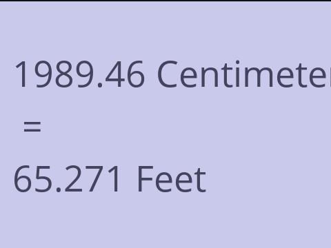 1989.46 CM TO FEET