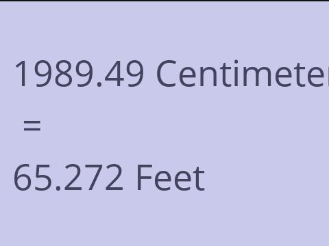 1989.49 CM TO FEET