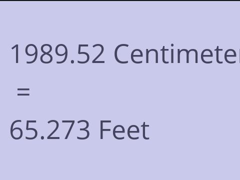 1989.52 CM TO FEET