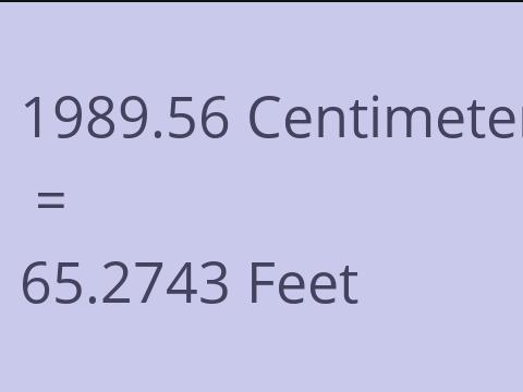 1989.56 CM TO FEET