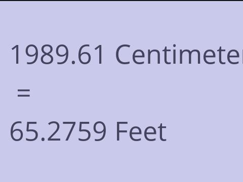 1989.61 CM TO FEET