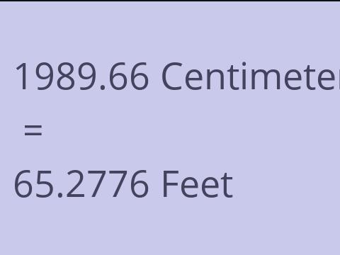 1989.66 CM TO FEET