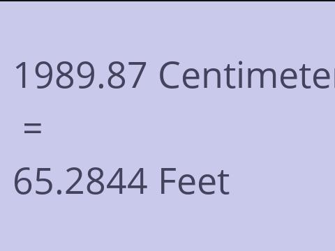 1989.87 CM TO FEET