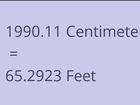 1990.11 CM TO FEET