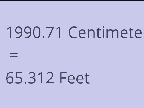 1990.71 CM TO FEET