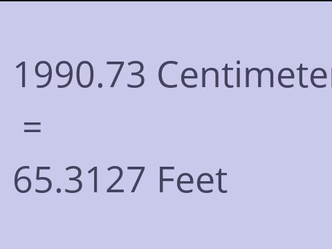 1990.73 CM TO FEET