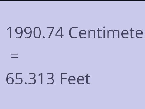 1990.74 CM TO FEET