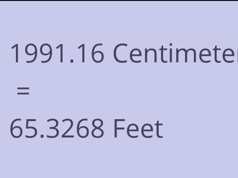 1991.16 CM TO FEET