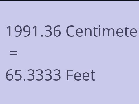 1991.36 CM TO FEET