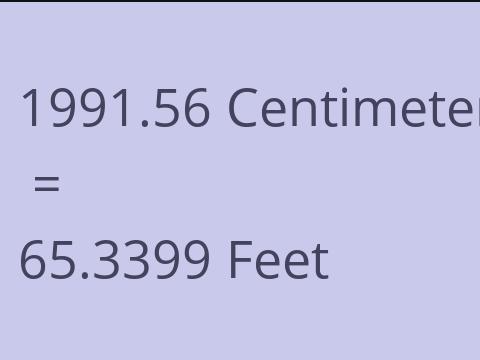 1991.56 CM TO FEET