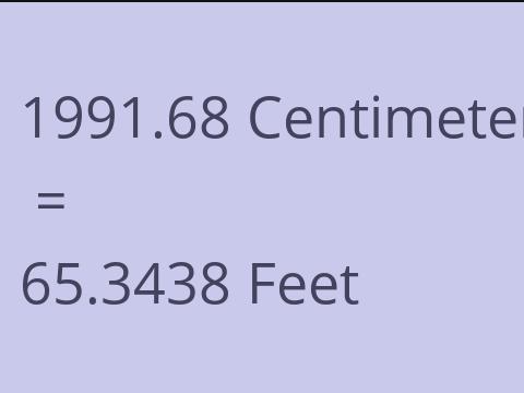 1991.68 CM TO FEET