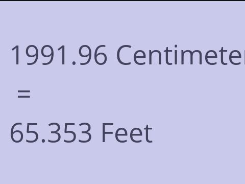 1991.96 CM TO FEET