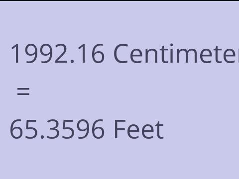 1992.16 CM TO FEET