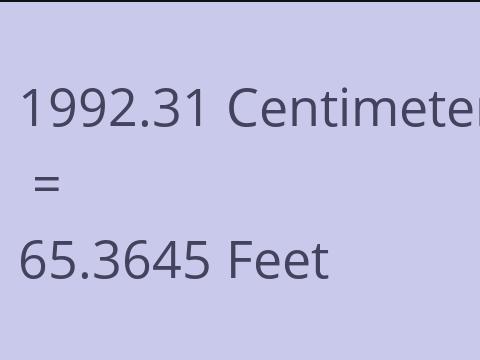 1992.31 CM TO FEET