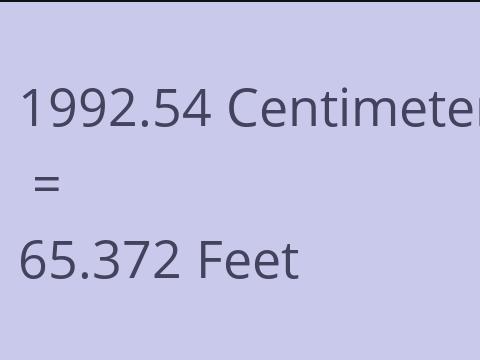 1992.54 CM TO FEET