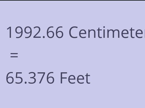 1992.66 CM TO FEET