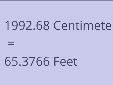 1992.68 CM TO FEET