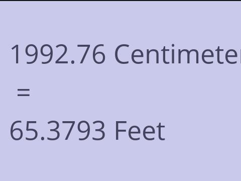1992.76 CM TO FEET