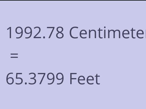 1992.78 CM TO FEET