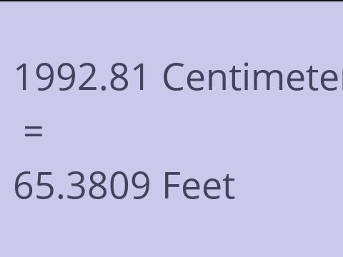 1992.81 CM TO FEET