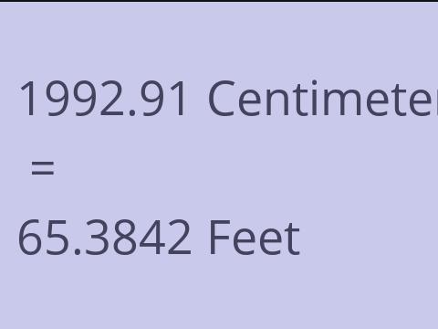 1992.91 CM TO FEET