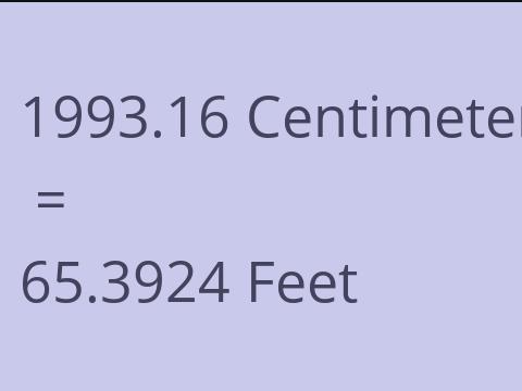1993.16 CM TO FEET