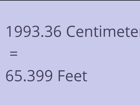 1993.36 CM TO FEET