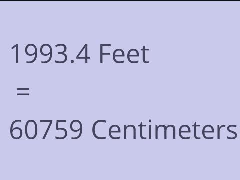 1993.4 FEET TO CM