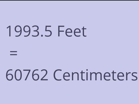 1993.5 FEET TO CM